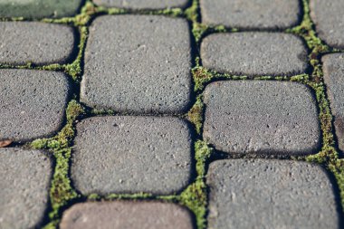 Değişik renklerde taş yontmalar, gündüz vakti yakın çekim. 