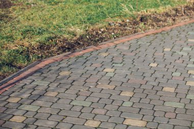 Yeşil bitkilerle dolu bahçe taşı patikası, gündüz vakti tuğla kaldırım. 