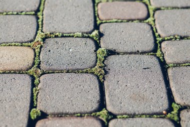 Değişik renklerde taş yontmalar, gündüz vakti yakın çekim. 