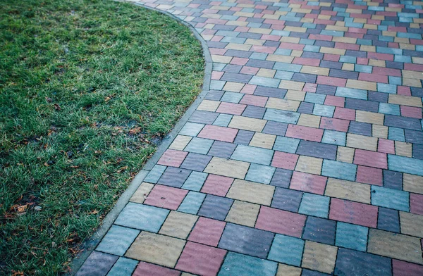 Trädgård Stenstig Med Gröna Växter Tegel Trottoar Dagtid — Stockfoto