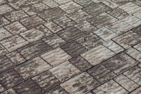 Pietre Pavimentazione Vari Colori Primo Piano Girato Durante Giorno — Foto Stock