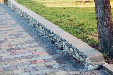 Yeşil bitkilerle dolu bahçe taşı patikası, gündüz vakti tuğla kaldırım. 