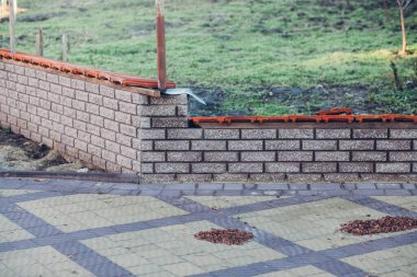 Yeşil bitkilerle dolu bahçe taşı patikası, gündüz vakti tuğla kaldırım. 