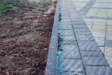 Yeşil bitkilerle dolu bahçe taşı patikası, gündüz vakti tuğla kaldırım. 