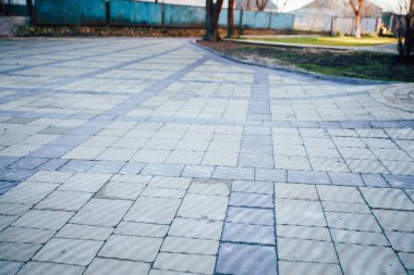 Yeşil bitkilerle dolu bahçe taşı patikası, gündüz vakti tuğla kaldırım. 