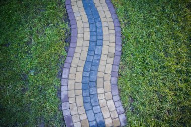 Yeşil bitkilerle dolu bahçe taşı patikası, gündüz vakti tuğla kaldırım. 