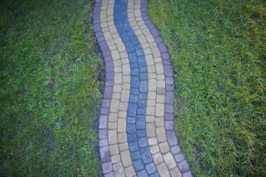 Yeşil bitkilerle dolu bahçe taşı patikası, gündüz vakti tuğla kaldırım. 