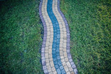 Yeşil bitkilerle dolu bahçe taşı patikası, gündüz vakti tuğla kaldırım. 