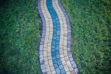 Yeşil bitkilerle dolu bahçe taşı patikası, gündüz vakti tuğla kaldırım. 