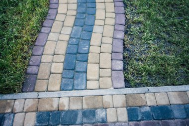 Yeşil bitkilerle dolu bahçe taşı patikası, gündüz vakti tuğla kaldırım. 