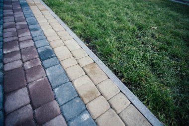 Yeşil bitkilerle dolu bahçe taşı patikası, gündüz vakti tuğla kaldırım. 