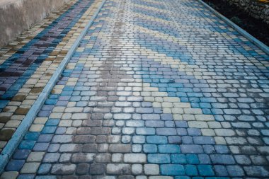 Yeşil bitkilerle dolu bahçe taşı patikası, gündüz vakti tuğla kaldırım. 