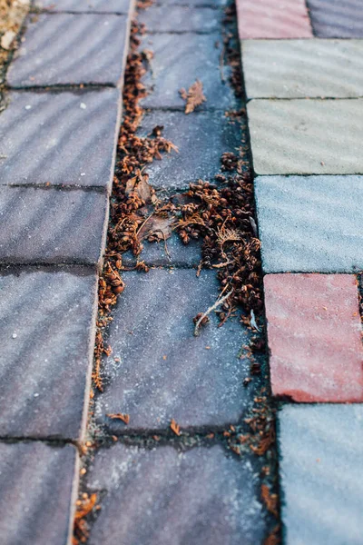 Pedras Pavimentação Várias Cores Tiro Close Durante Dia — Fotografia de Stock