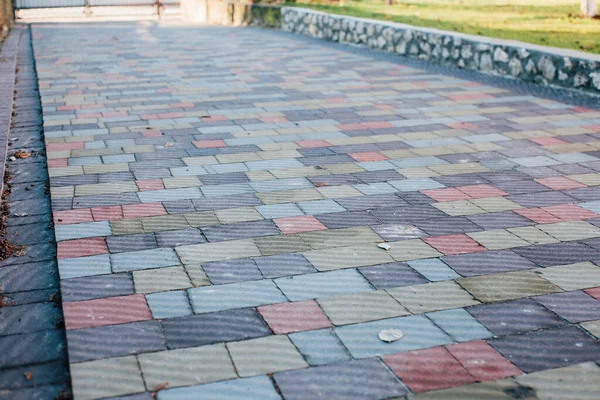 Yeşil bitkilerle dolu bahçe taşı patikası, gündüz vakti tuğla kaldırım. 