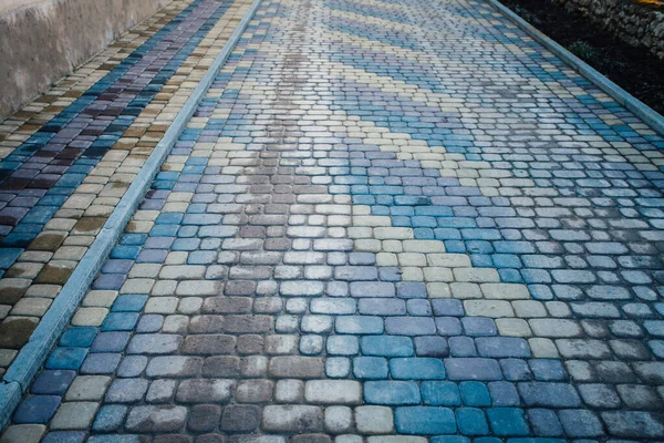 Trädgård Stenstig Med Gröna Växter Tegel Trottoar Dagtid — Stockfoto