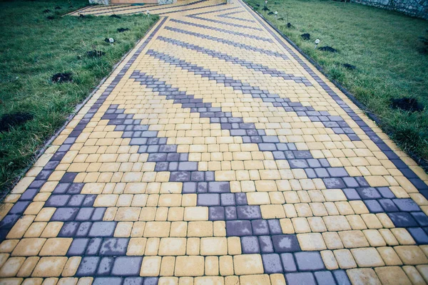 Camino Piedra Jardín Con Plantas Verdes Acera Ladrillo Durante Día — Foto de Stock