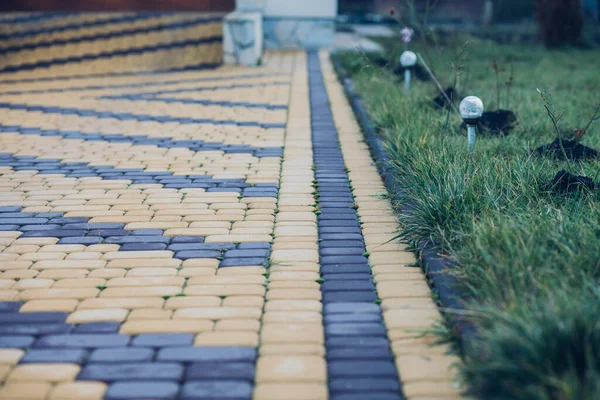 Camino Piedra Jardín Con Plantas Verdes Acera Ladrillo Durante Día — Foto de Stock