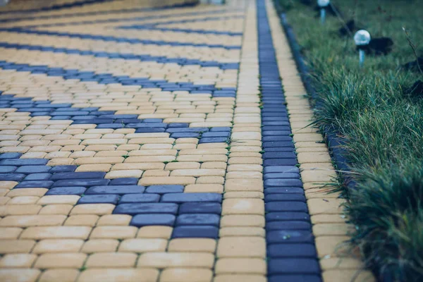 緑の植物と庭の石の道 昼間のレンガ造りの歩道 — ストック写真