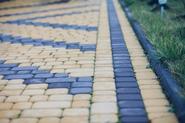 Yeşil bitkilerle dolu bahçe taşı patikası, gündüz vakti tuğla kaldırım. 