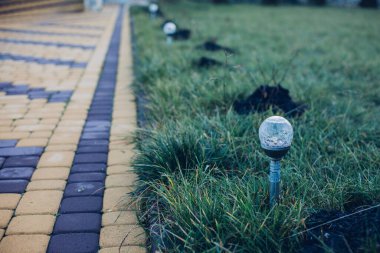 Yeşil bitkilerle dolu bahçe taşı patikası, gündüz vakti tuğla kaldırım. 