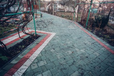 Yeşil bitkilerle dolu bahçe taşı patikası, gündüz vakti tuğla kaldırım. 