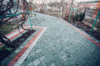 Yeşil bitkilerle dolu bahçe taşı patikası, gündüz vakti tuğla kaldırım. 