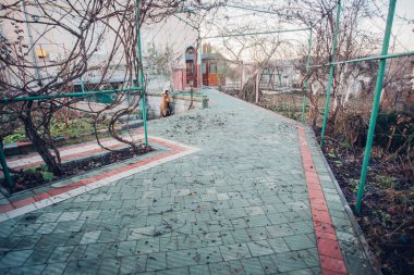 Yeşil bitkilerle dolu bahçe taşı patikası, gündüz vakti tuğla kaldırım. 