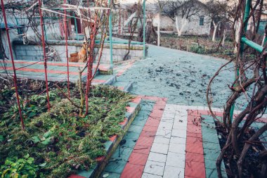 Yeşil bitkilerle dolu bahçe taşı patikası, gündüz vakti tuğla kaldırım. 