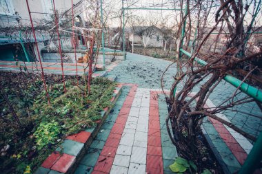 Yeşil bitkilerle dolu bahçe taşı patikası, gündüz vakti tuğla kaldırım. 