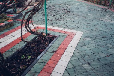 Yeşil bitkilerle dolu bahçe taşı patikası, gündüz vakti tuğla kaldırım. 