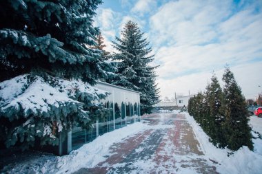 Değişik renklerde taşlar, parkta yürüyüş yolu. 