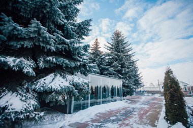 Değişik renklerde taşlar, parkta yürüyüş yolu. 