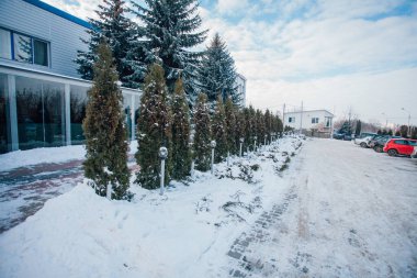 Değişik renklerde taşlar, parkta yürüyüş yolu. 