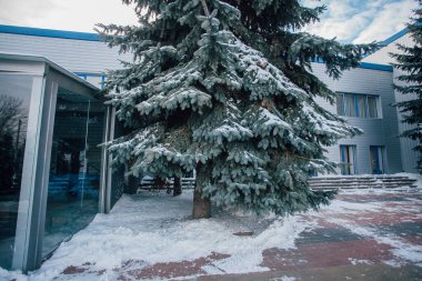 Değişik renklerde taşlar, parkta yürüyüş yolu. 