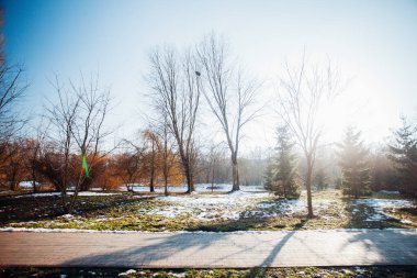 Değişik renklerde taşlar, parkta yürüyüş yolu. 