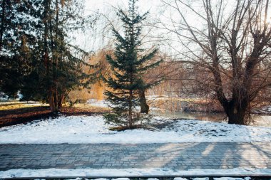 Değişik renklerde taşlar, parkta yürüyüş yolu. 