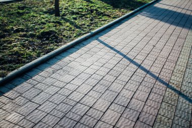 Yeşil bitkilerle dolu bahçe taşı patikası, gündüz vakti tuğla kaldırım. 