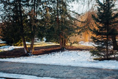 Değişik renklerde taşlar, parkta yürüyüş yolu. 