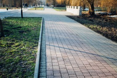 Yeşil bitkilerle dolu bahçe taşı patikası, gündüz vakti tuğla kaldırım. 