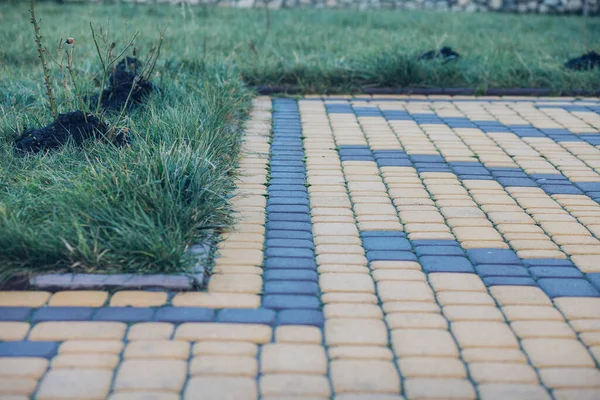 Garden Stone Path Green Plants Brick Sidewalk Daytime — Stock Photo, Image