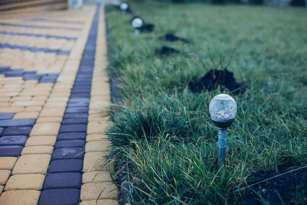 Yeşil bitkilerle dolu bahçe taşı patikası, gündüz vakti tuğla kaldırım. 