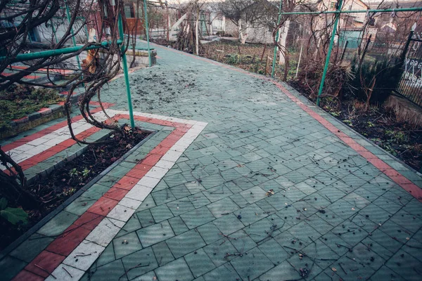 Yeşil bitkilerle dolu bahçe taşı patikası, gündüz vakti tuğla kaldırım. 