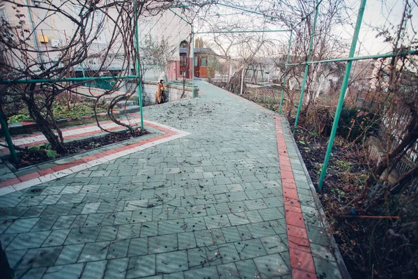 Yeşil bitkilerle dolu bahçe taşı patikası, gündüz vakti tuğla kaldırım. 