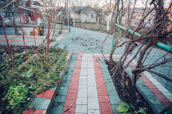 Yeşil bitkilerle dolu bahçe taşı patikası, gündüz vakti tuğla kaldırım. 