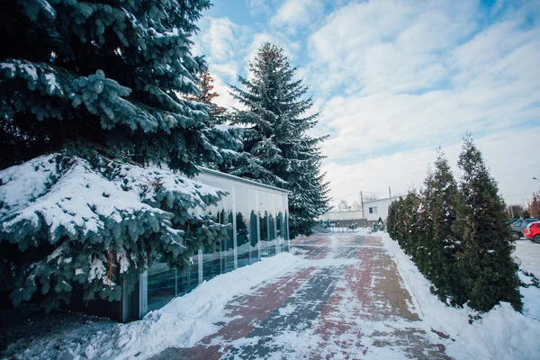 Değişik renklerde taşlar, parkta yürüyüş yolu. 