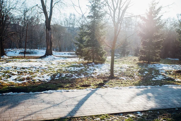 Değişik renklerde taşlar, parkta yürüyüş yolu. 