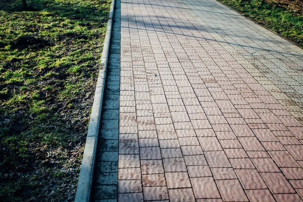Yeşil bitkilerle dolu bahçe taşı patikası, gündüz vakti tuğla kaldırım. 