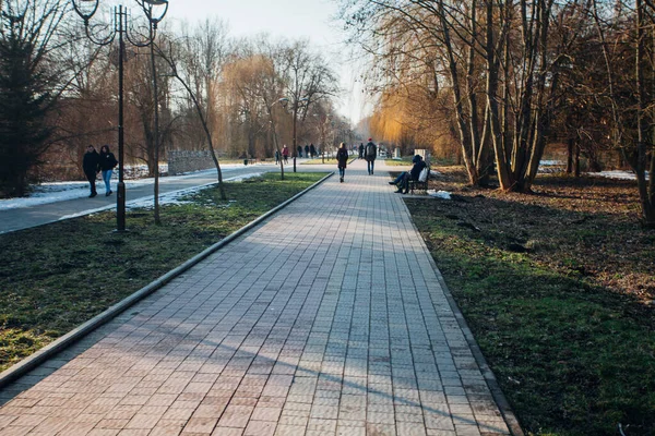 Pflastersteine Verschiedenen Farben Fußweg Park — Stockfoto