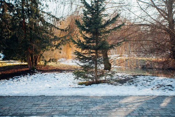 Değişik renklerde taşlar, parkta yürüyüş yolu. 