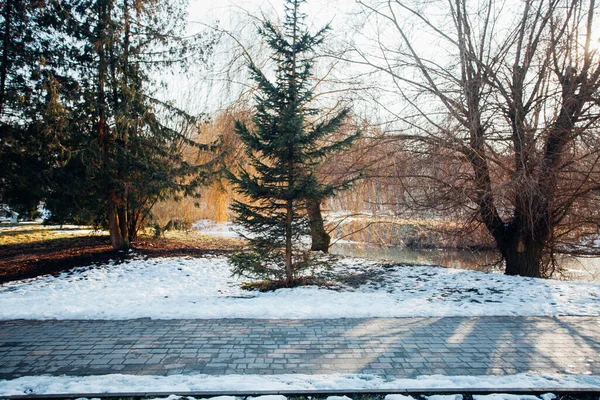 Değişik renklerde taşlar, parkta yürüyüş yolu. 